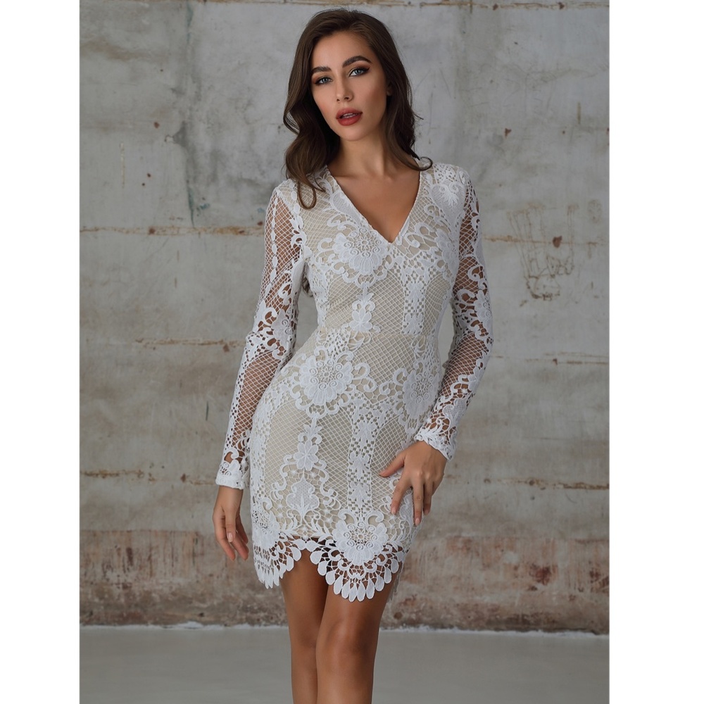 White Guipure V-Neck Bodycon Mini Dress - Picture 6 of 9